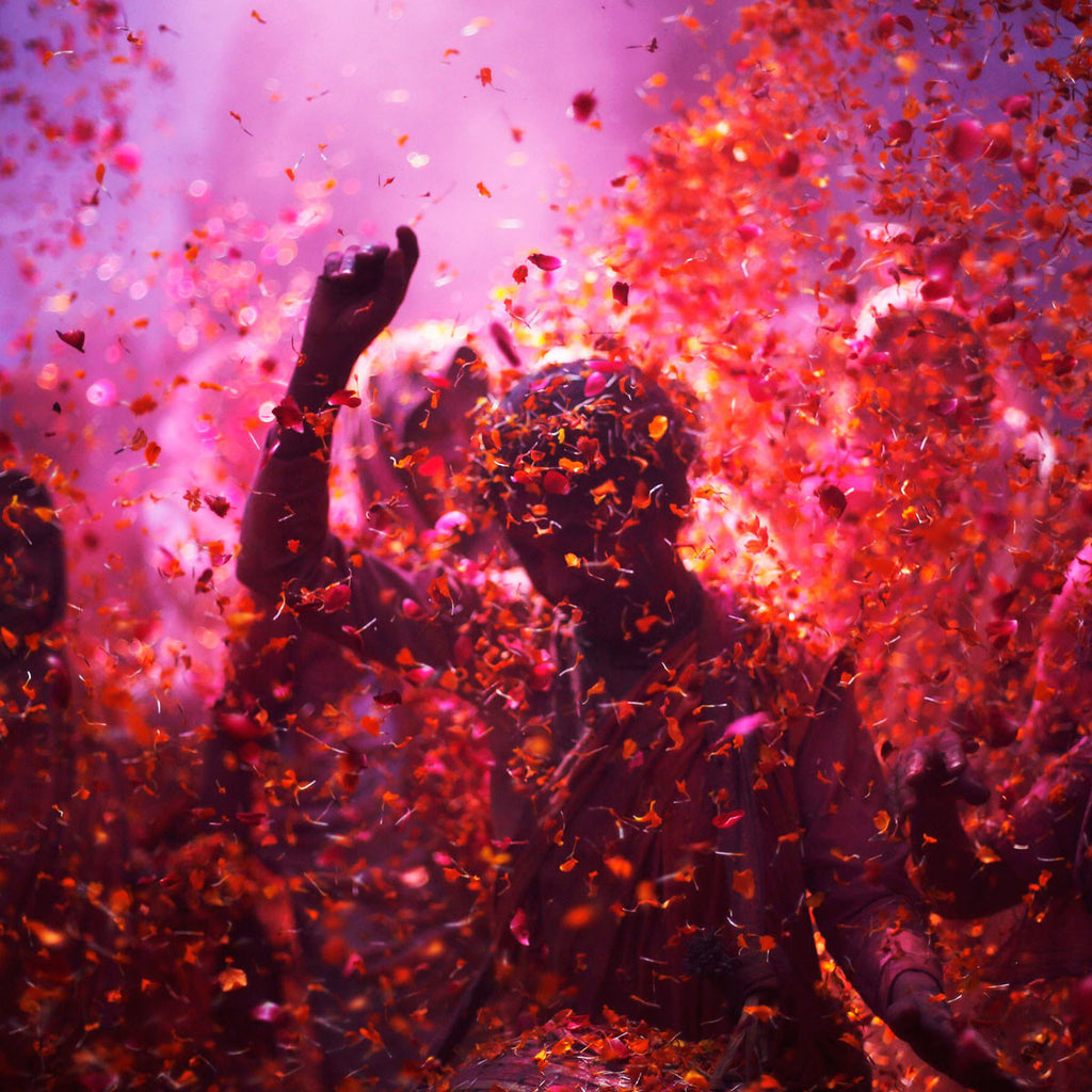 festival free demo collection 3